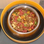 cyther_foodbowlmount